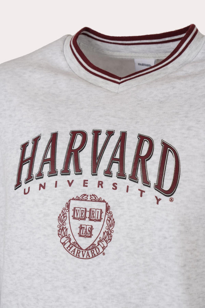 41116_1101_2|1085a345ea462a0dbca3dd07e10278bc