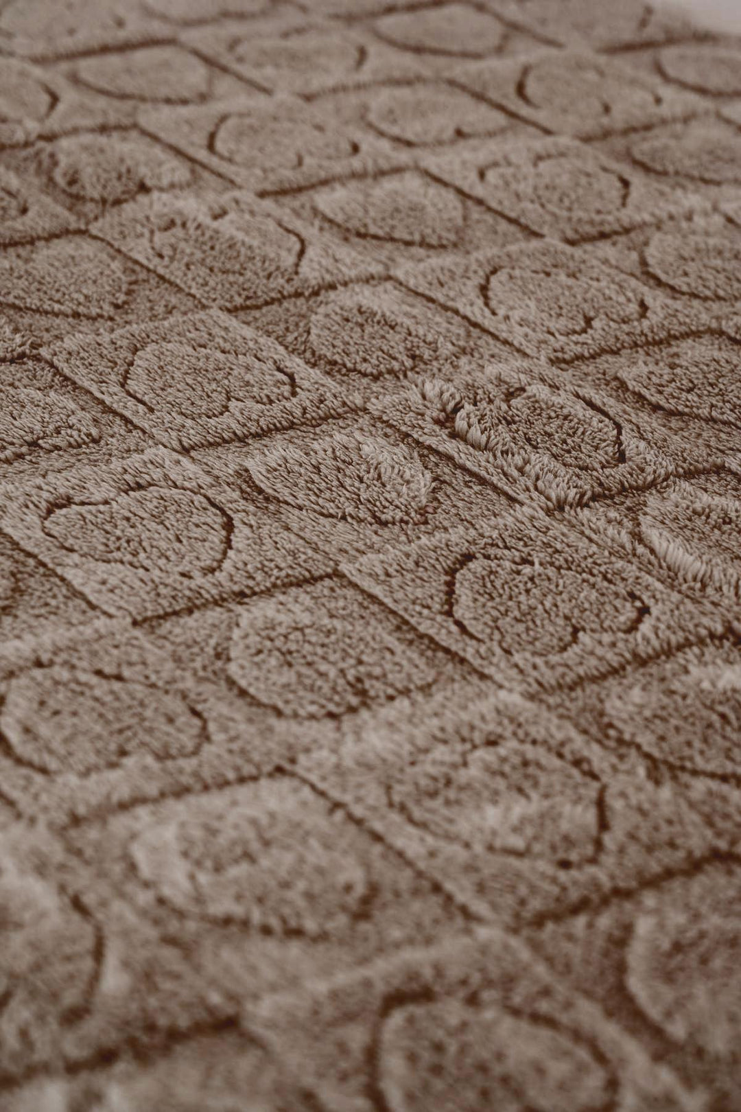 41178_54_0|0dbb9f8cc3bf0755840ff9b1b370ed59