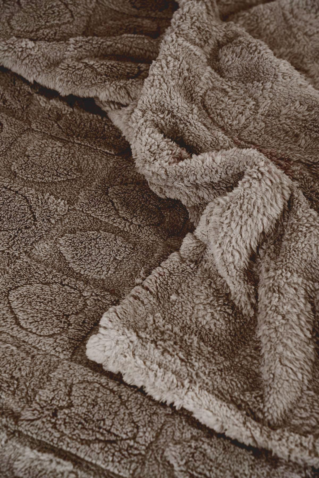 41178_54|c2c4ce5e83403c9d4bde7c91fe75b54e