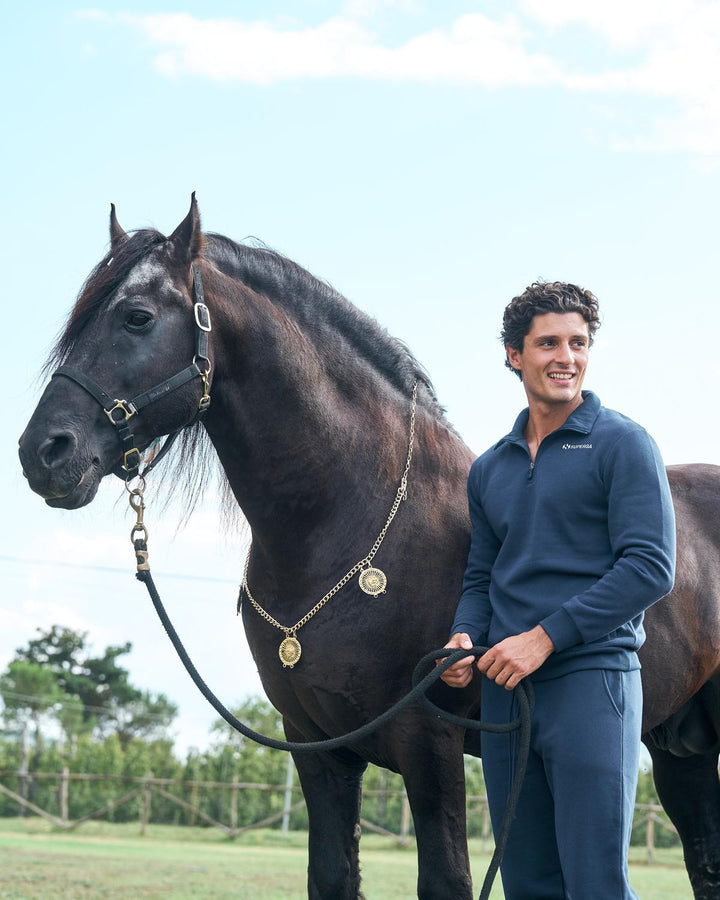 41224_66_5|1f31a56cdb96413bca5499970fe3f7ab