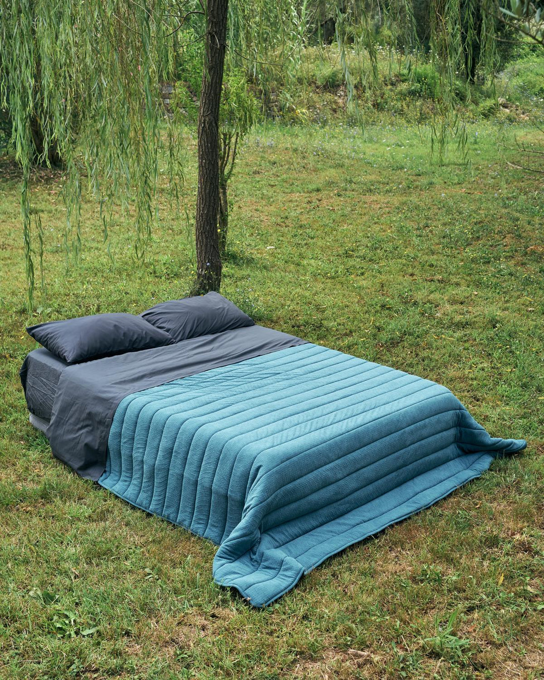 41235_5_1|151596693fecd73908df40be962c4be9