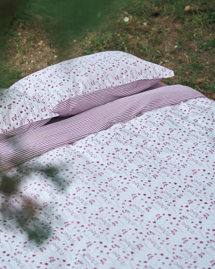 41309_377_3|1e30158ee24cc57eb3f63b9307f4b589