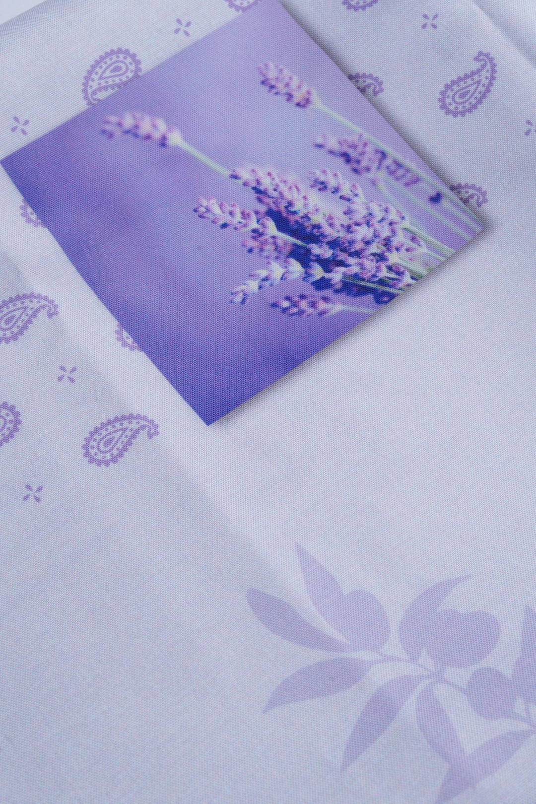 49545_626_2|baf651bcf7e73684f0f738ae192f9d5a